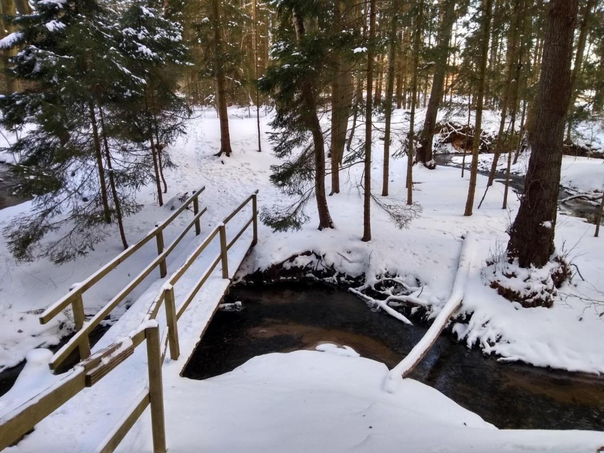 Haus Am See Hermannsburg Eksteriør bilde